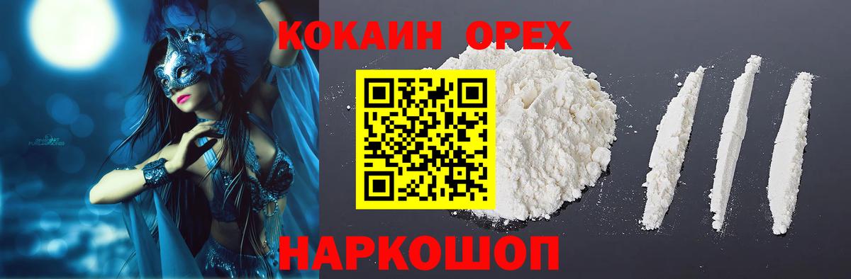 COCAIN Fish Scale Гатчина