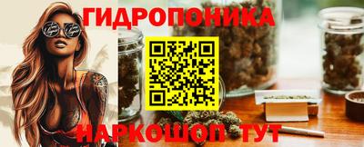 молекула духа Волжский
